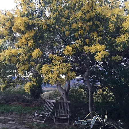 Le Petit Coin De Nature * Port Vendres